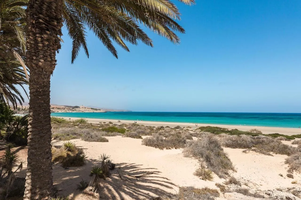 Home2Book Cozy Apt Near The Beach In Gran Tarajal Apartment